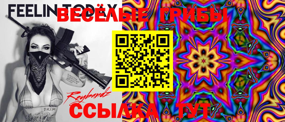 Псилоцибиновые грибы Psilocybe Казань
