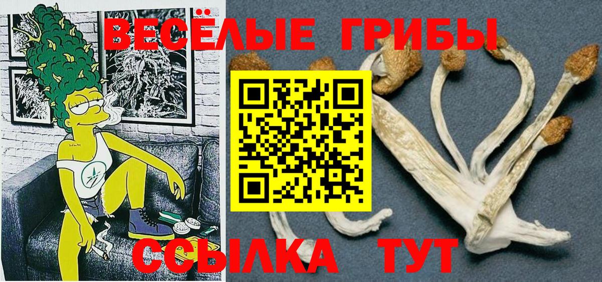 Галлюциногенные грибы Psilocybe  Вход с VPN  Казань 